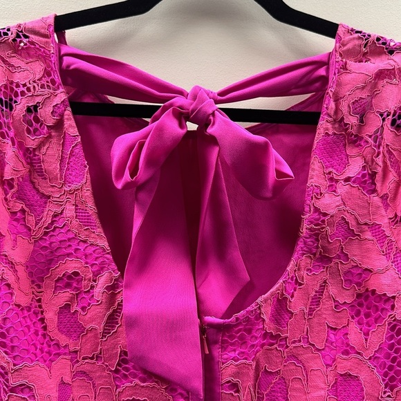Lilly Pulitzer Pink Lace Dress - Picture 10 of 14
